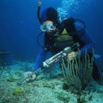 marine biologist at work